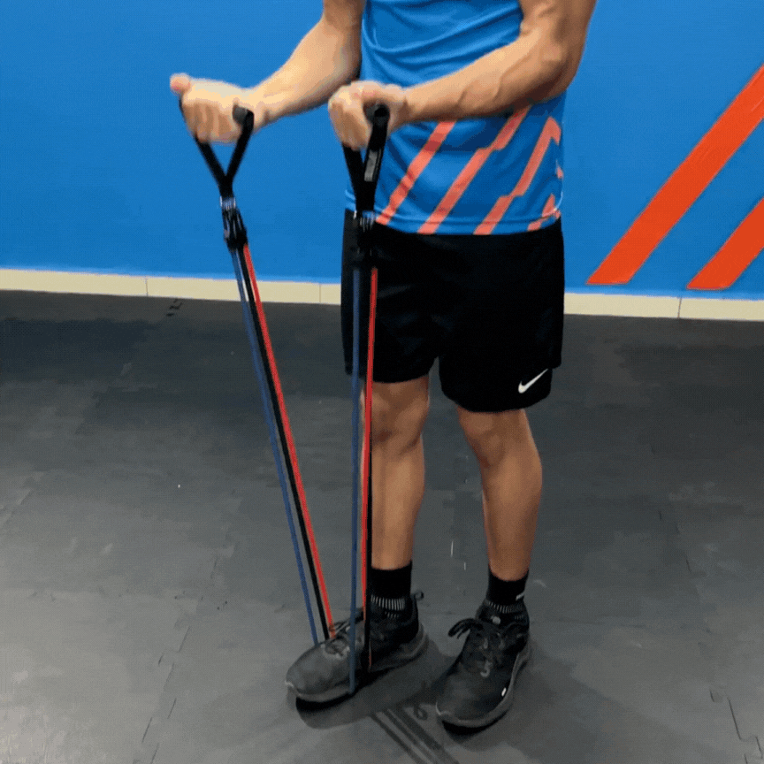 Bulk Fitness